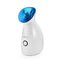 Eccentric Ionic Mist Facial Steamer