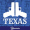 Texas Guns - Vinyl 2nd second amendment Decal Armed Window Bumper Sticker Style