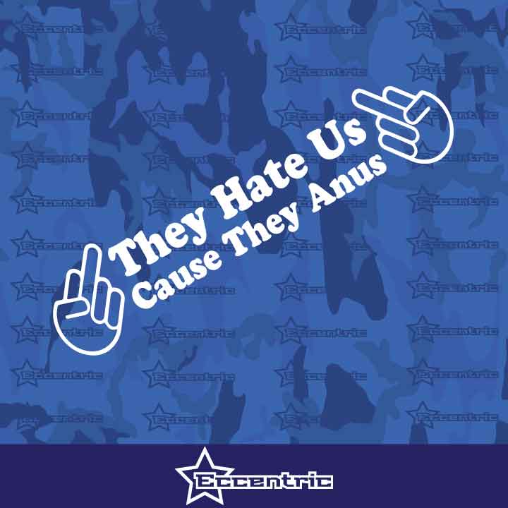 They Hate Us Cause They Anus Decal Sticker